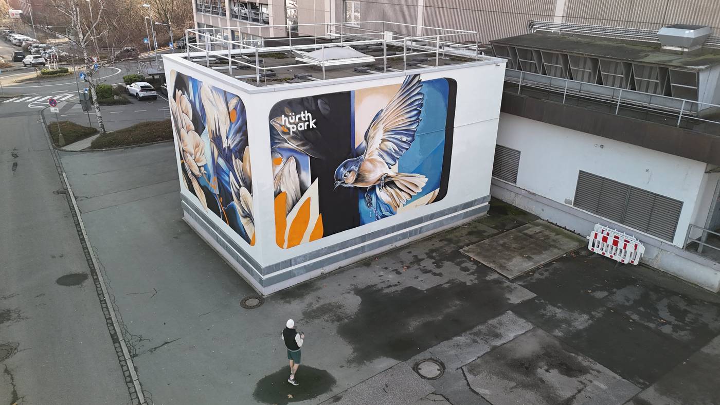 Gestaltetes Gebäude aus der Luft, mit Vogelmotiv auf der Längsseite